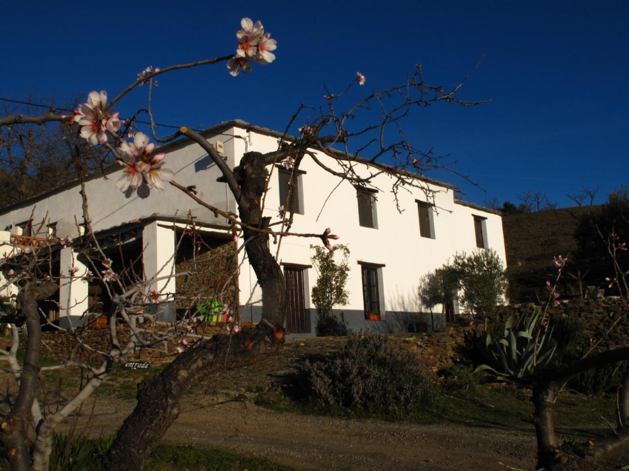 Casa Rural El Paraje De Berchules Exterior photo